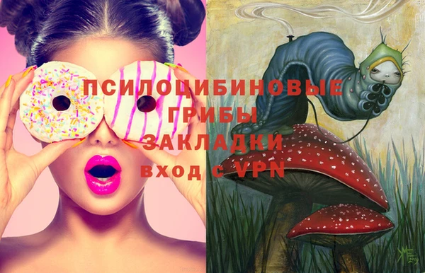 spice Карталы