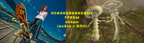 spice Карталы