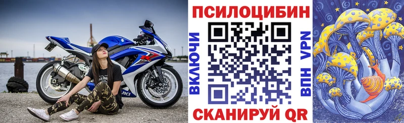 Галлюциногенные грибы Cubensis  Купить  Мценск 